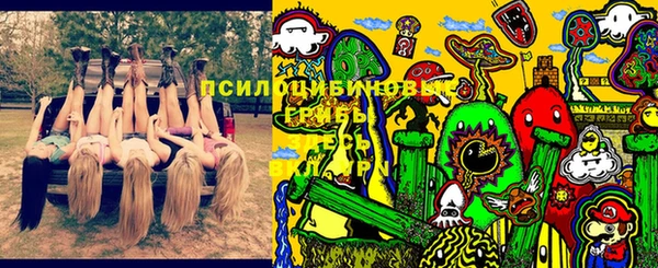 бутират Бородино