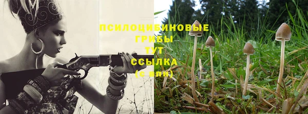бутират Бородино