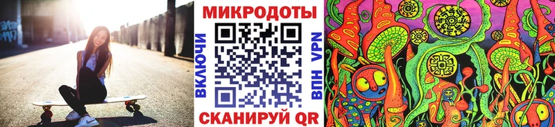 Псилоцибиновые грибы Psilocybine cubensis  Ильский 